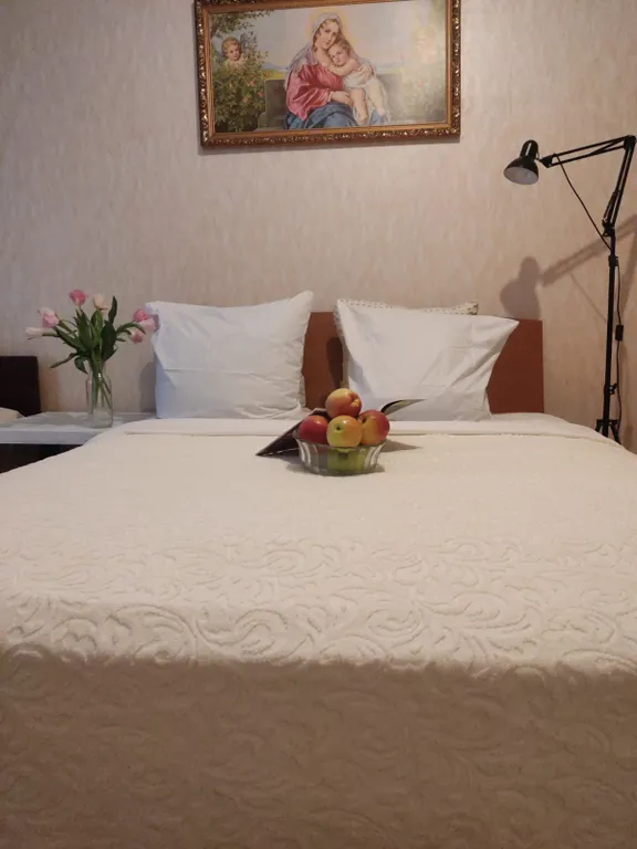 Квартира рядом со сборным пунктом, госпиталем на Стрелково