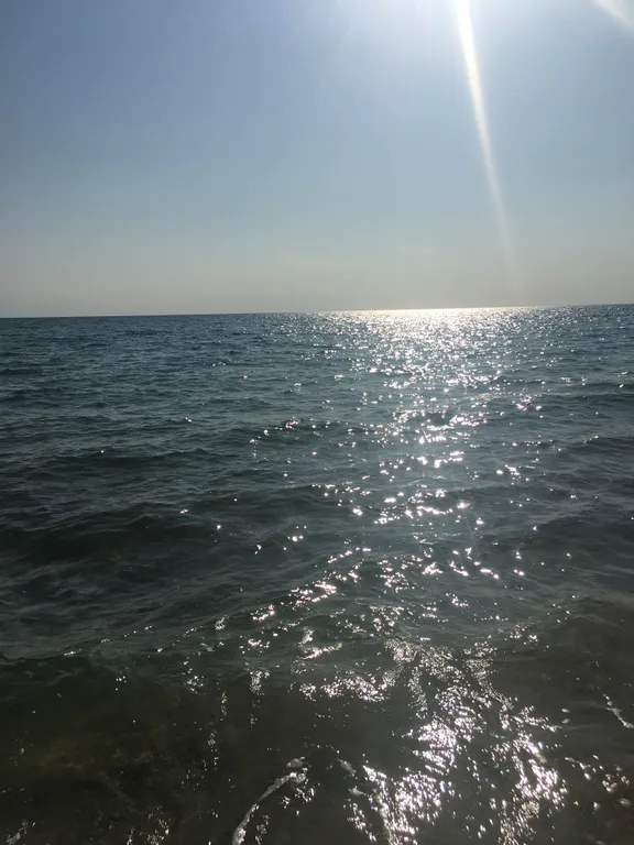 Апартаменты с видом на море Негрустинка