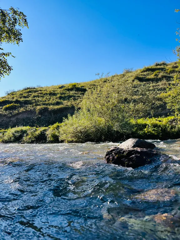 Усадьба Сова на берегу реки в горах Алтая