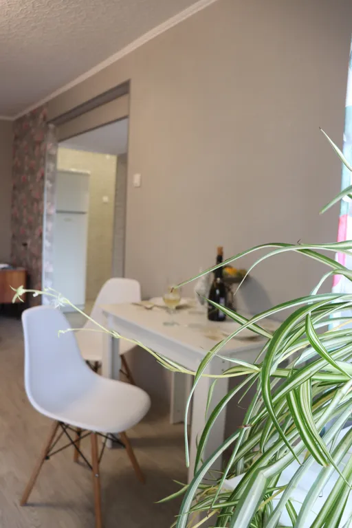 Апартаменты с видом на палату Пушникова в центре