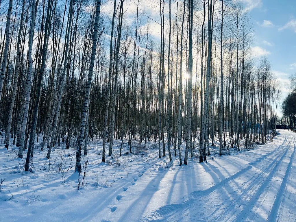 A-Frame с скандинавскими нотками