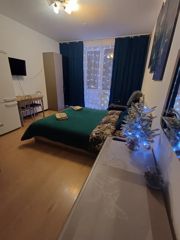 Уютная современная квартира-студия