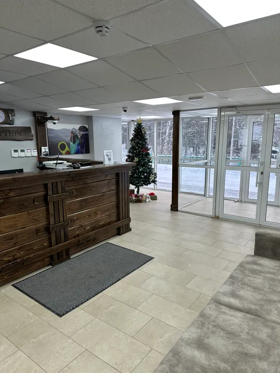 Апартаменты Каменный цветок от собственника