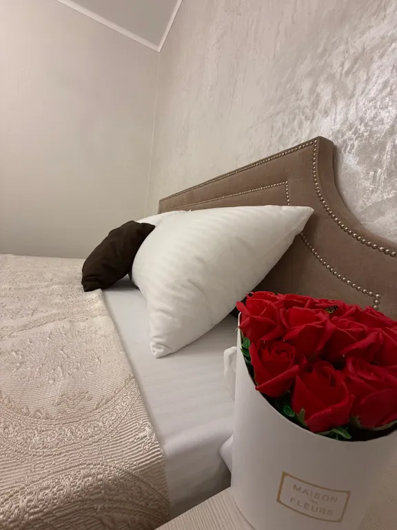 Стильная двухкомнатная квартира в историческом центре