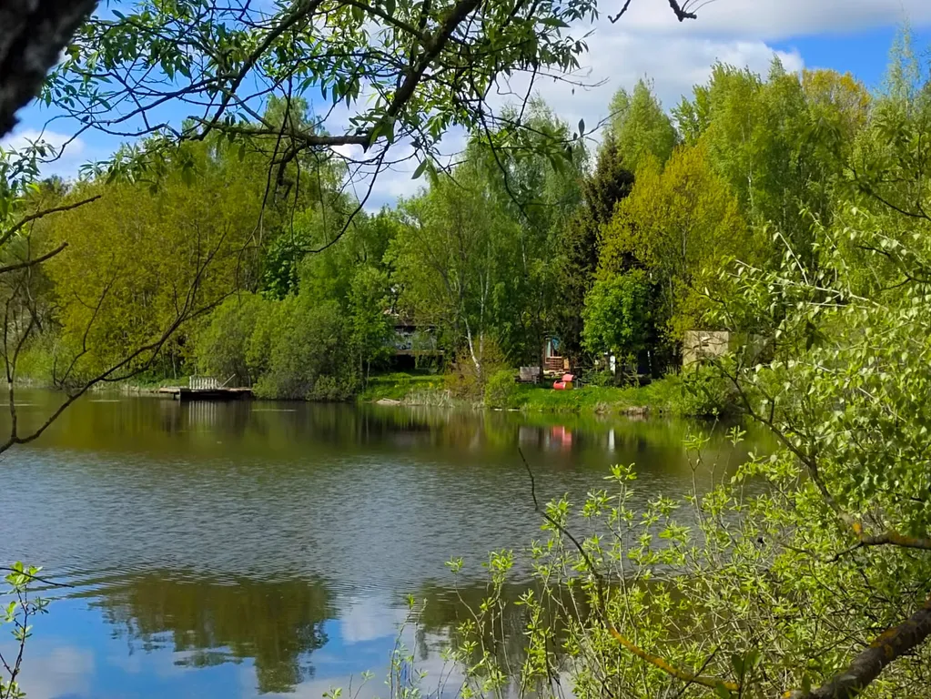 Чудо-дача, дом Акула на берегу пруда