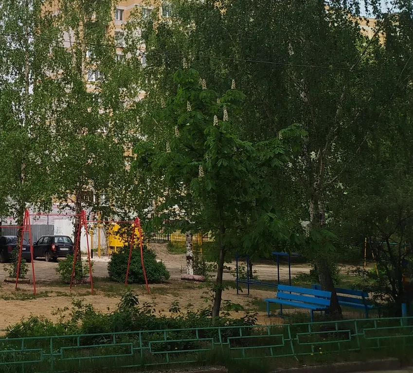 Уютная квартира в центре города и выезд на Доброград