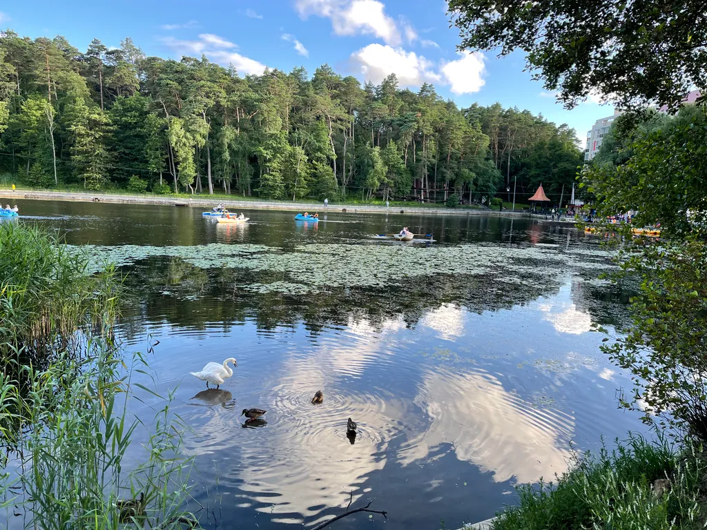 Уютная квартира с видом на озеро и сосновый лес