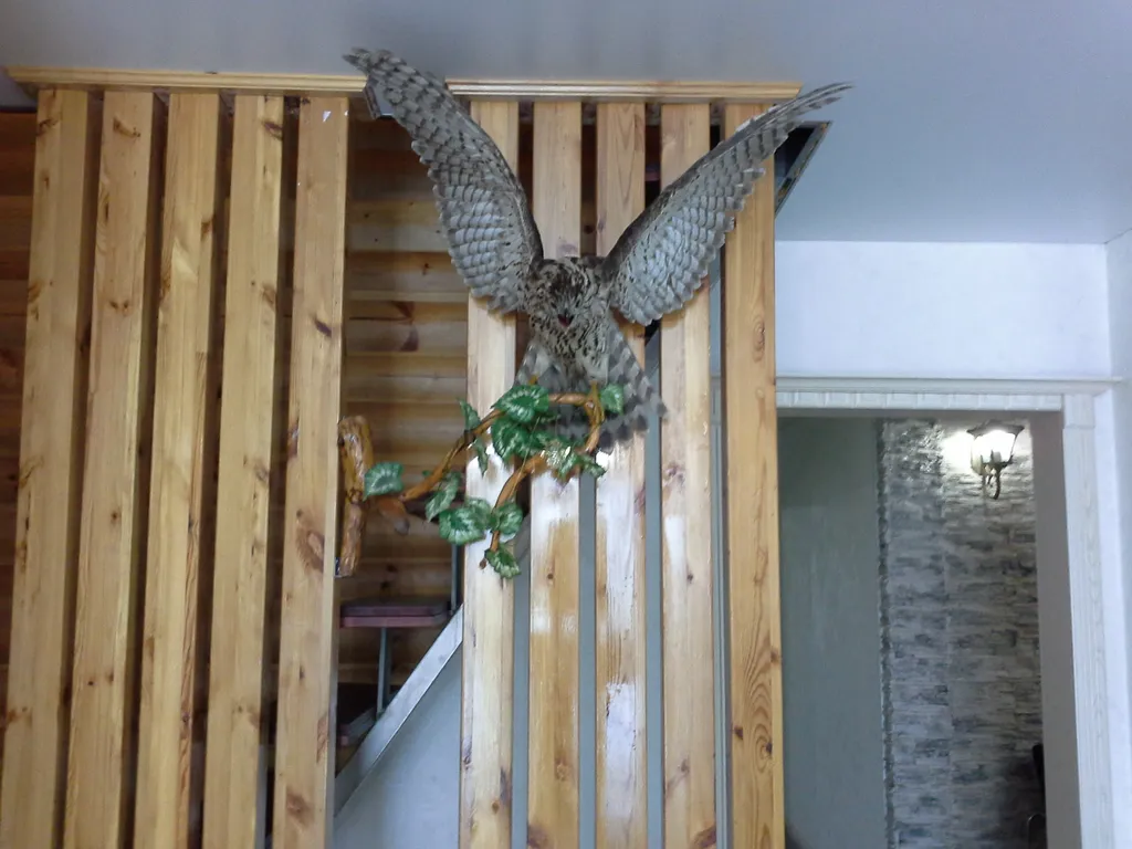 Двухкомнатные апартаменты с видом на залив