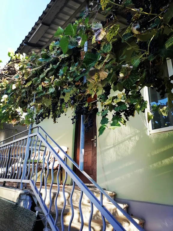 Коттедж 3-комнатный Дом — Гагра