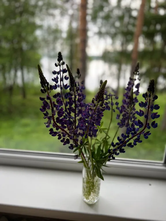 Уютная квартира с потрясающим видом на озеро