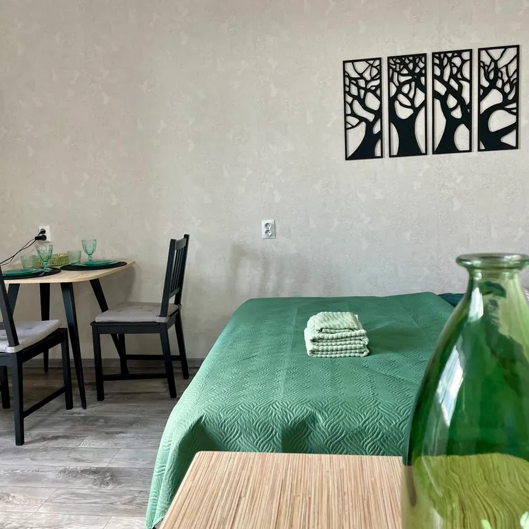 Студия с видом на озеро