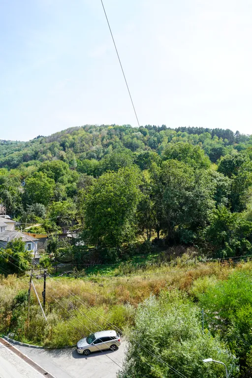 Комфортная квартира в самом центре парка