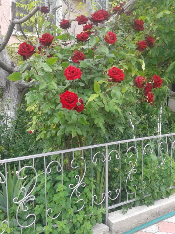 Квартира Бежевая комната-все удобства — Севастополь