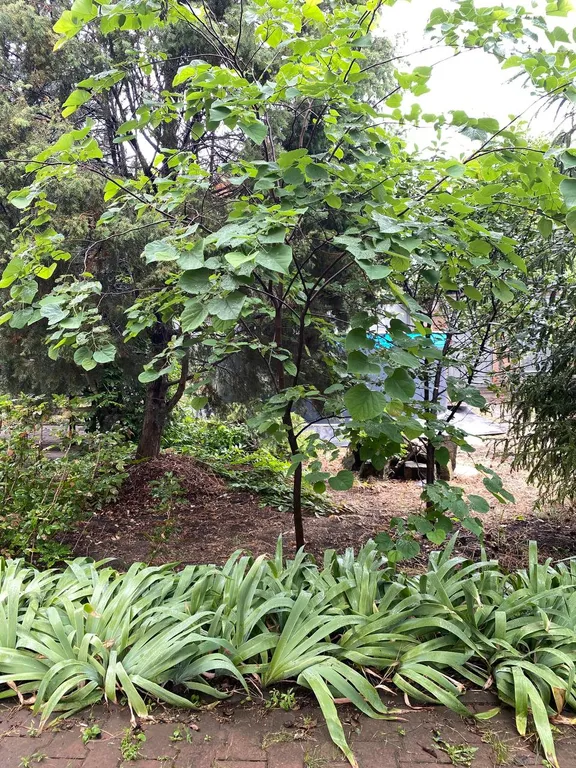 Загородный дом с садом и бассейном