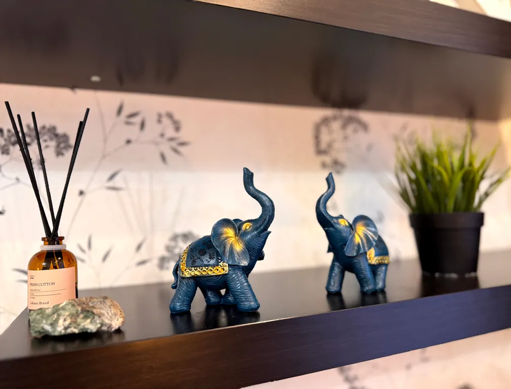 Квартира Африканда