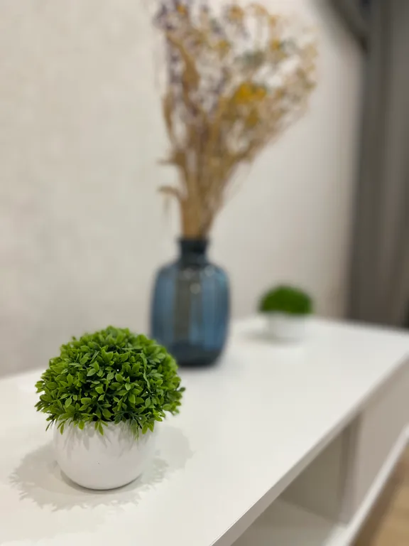 Светлая квартира в центре города