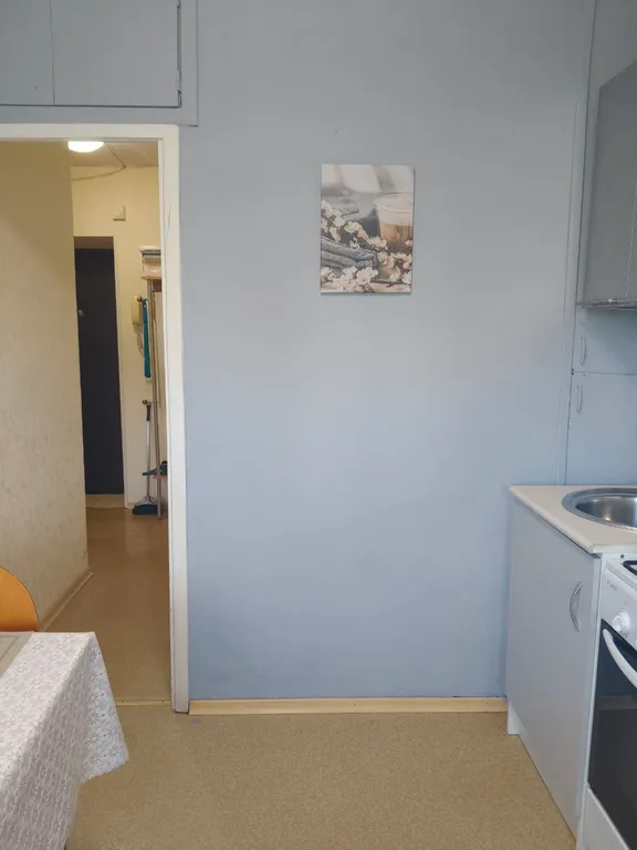 Уютная однокомнатная квартира в центре города