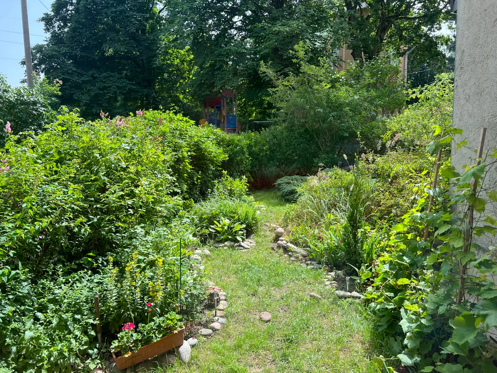 Квартира Уютная квартира — Светлогорск