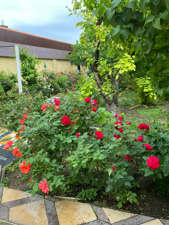 Уютная комната в частном доме с красивым садом