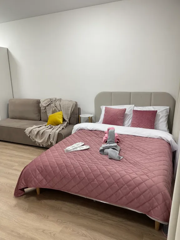 Современная студия с двухспальной кроватью в Люберцах