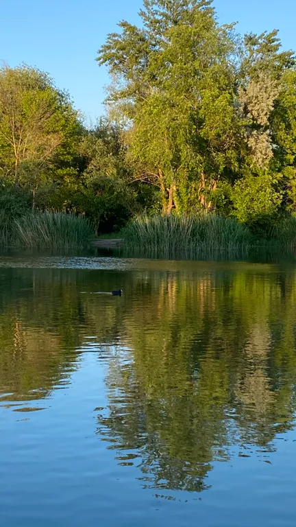 Коттедж Дача на реке — аренда посуточно в Ростов-на-Дону