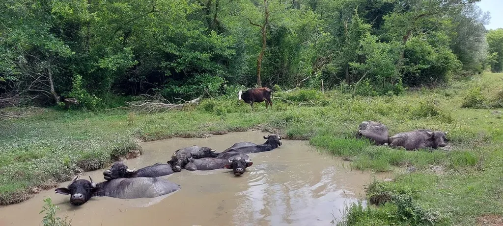 Дом для спокойного отдыха