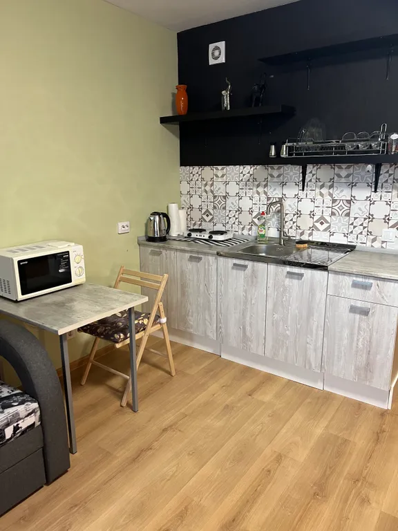 Квартира Квартира Уютная студия рядом с НИИ Петрова Гранова Напалкова — Песочный