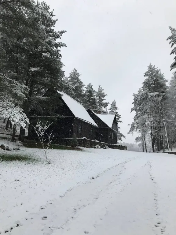 Усадьба в Антроповке