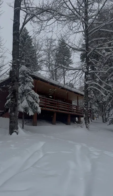 Квартира Квартира Коттедж, Дом В Архызе — Архыз