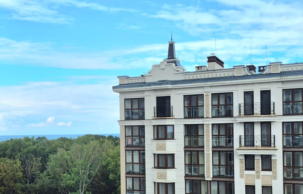 Вид на лес Куршской косы рядом с морем и парком