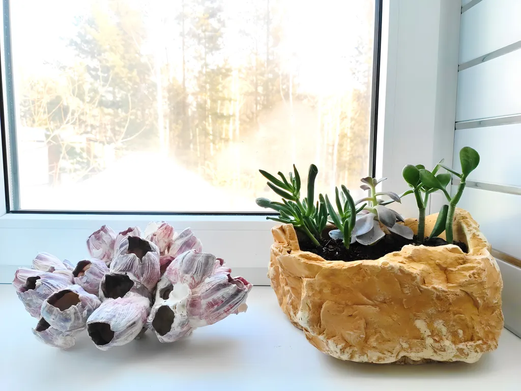 Дом Тропик у озера Увильды