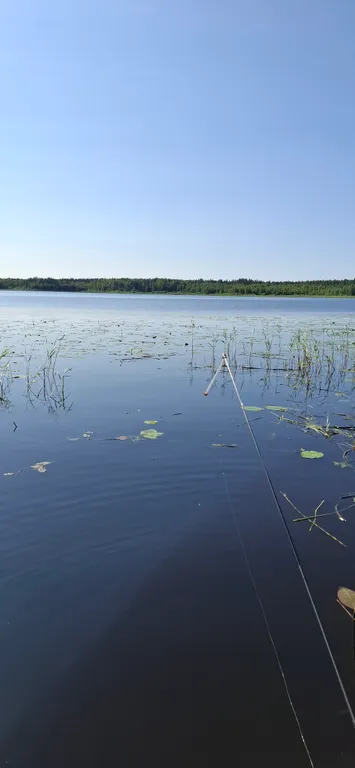 Коттедж Коттедж Селигерское — Березово