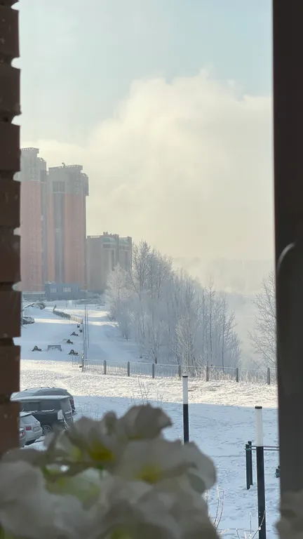 Квартира Стильная квартира на южном берегу — Красноярск