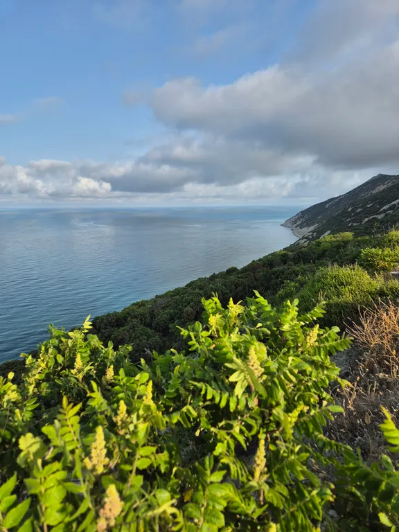 Новая видовая квартира на первой линии  ЖК Анаполис