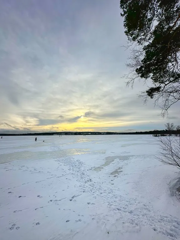 Квартира Семейный апартамент с просторной гостиной и просторной спальней — Мичуринское