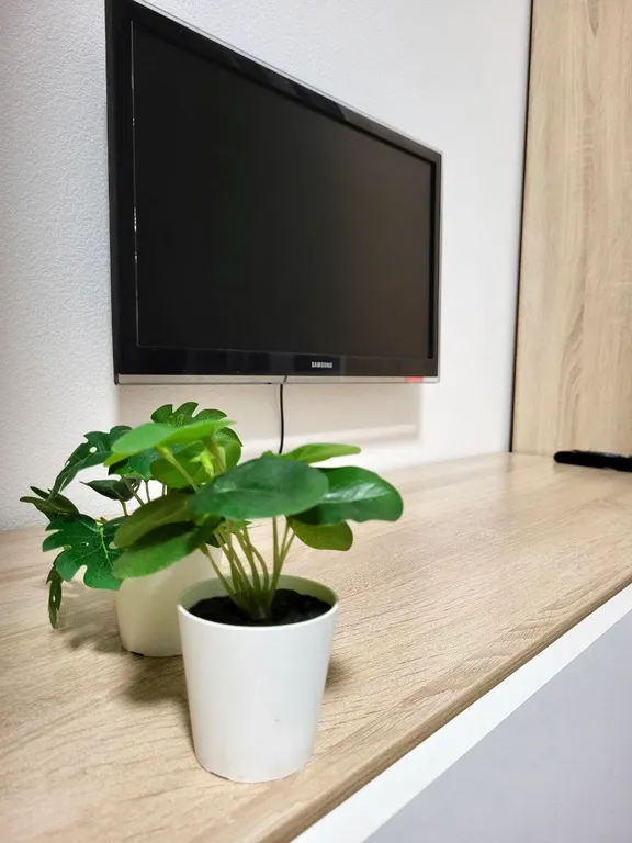 Квартира Квартира Уютная студия в 30 минутах от центра — Санкт-Петербург