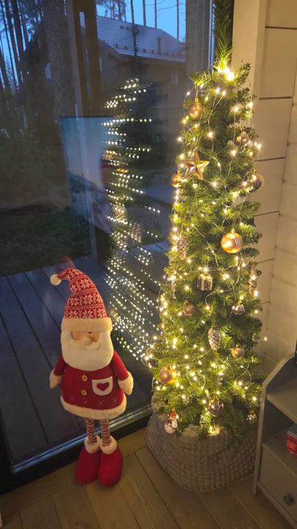 Коттедж под соснами