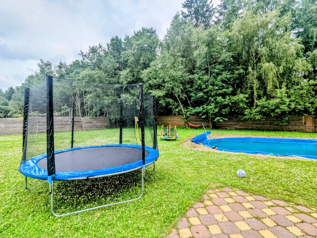 Большой красивый дом с камином в лесу