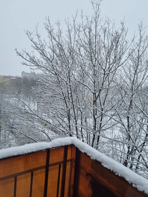 Квартира Уютная квартира в 7 минутах хотьбы до Рыбной деревни и Южного вокзала — Калининград