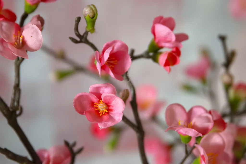 Квартира с видом на парк