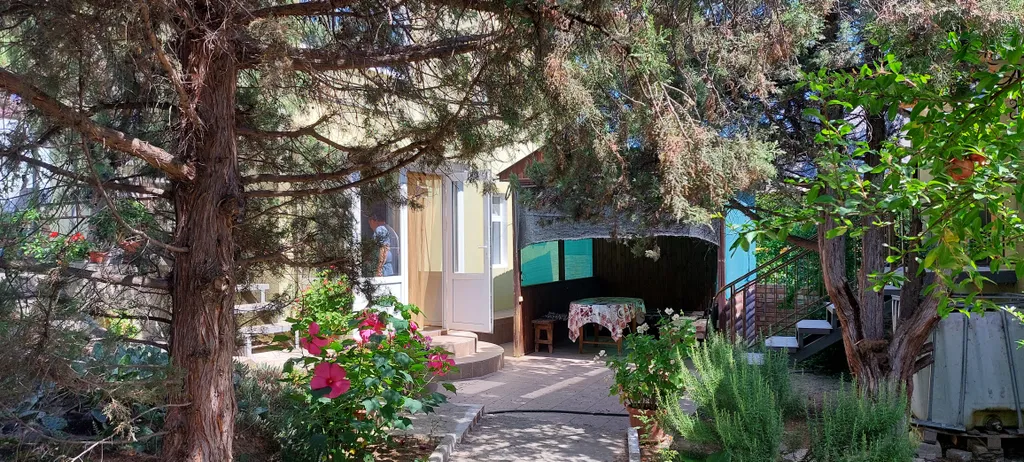 Номер на двоих в можжевеловой роще