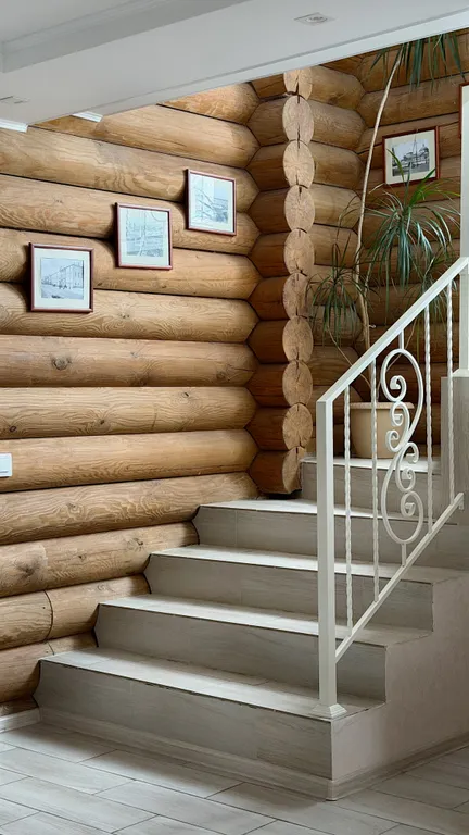 Лесная сказка