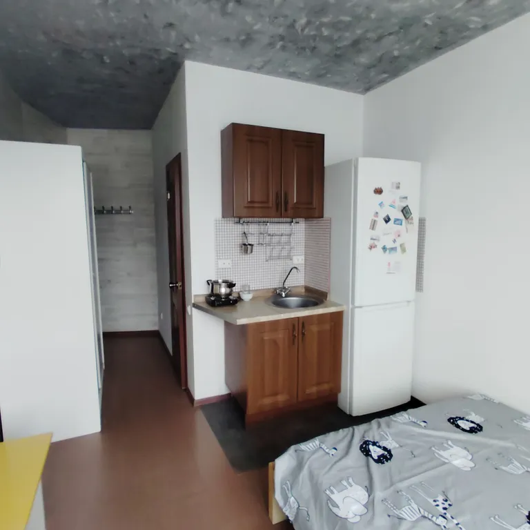 Студия в квартире с персональным санузлом и кухонным блоком