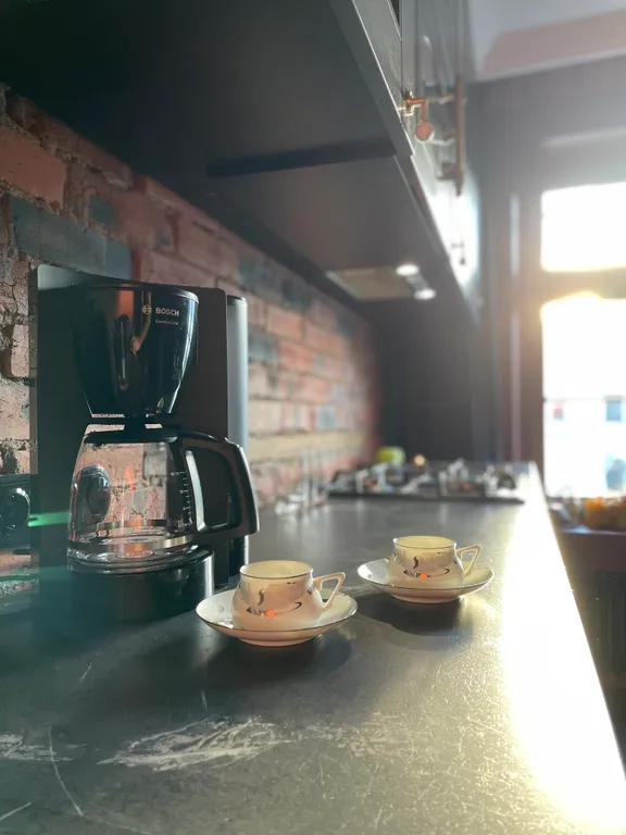 Квартира Апартаменты трехкомнатные с видом на Фонтанку — Санкт-Петербург