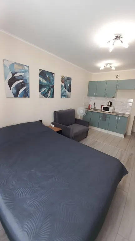 Квартира студия рядом с метро