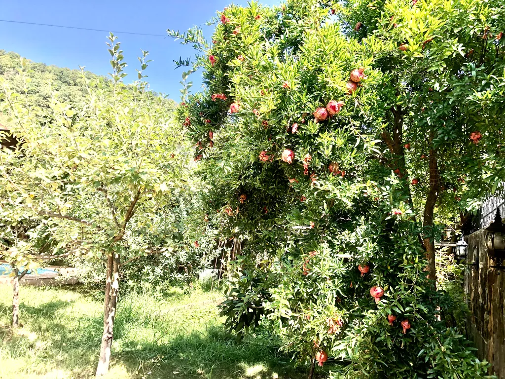 Домик у Моря Сочи с Бассейном