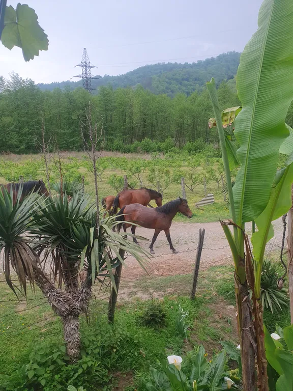 Комфортный дом с видом на горы