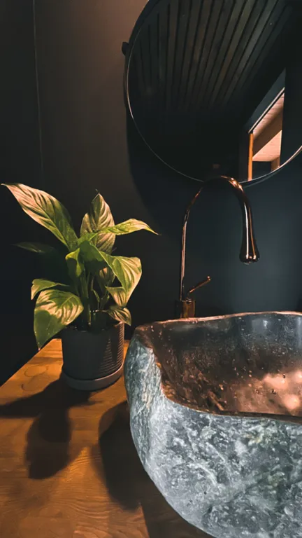 Коттедж Дом в лесу с горячей купелью — Горки (Лопухинское с/п)