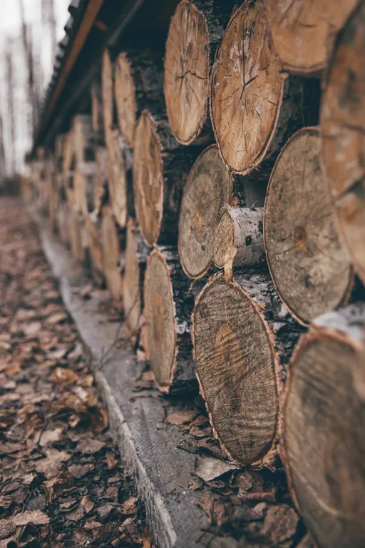 Домик в лесу с баней и чаном, A-frame Forest story