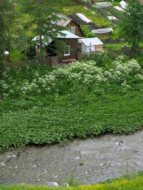 Уютный мини дом с видом на реку